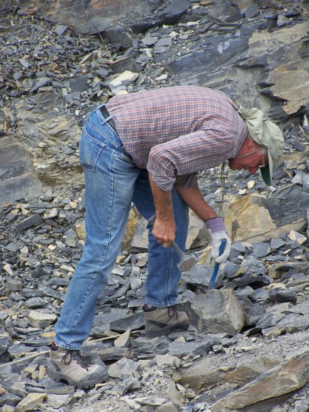 No 18 Trilobite dig. Larry Knapton splitting shale rock looking for the trilobites.  .JPG